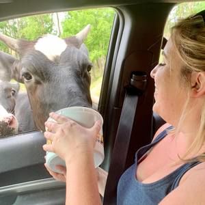 Meet your Posher, Brittanie